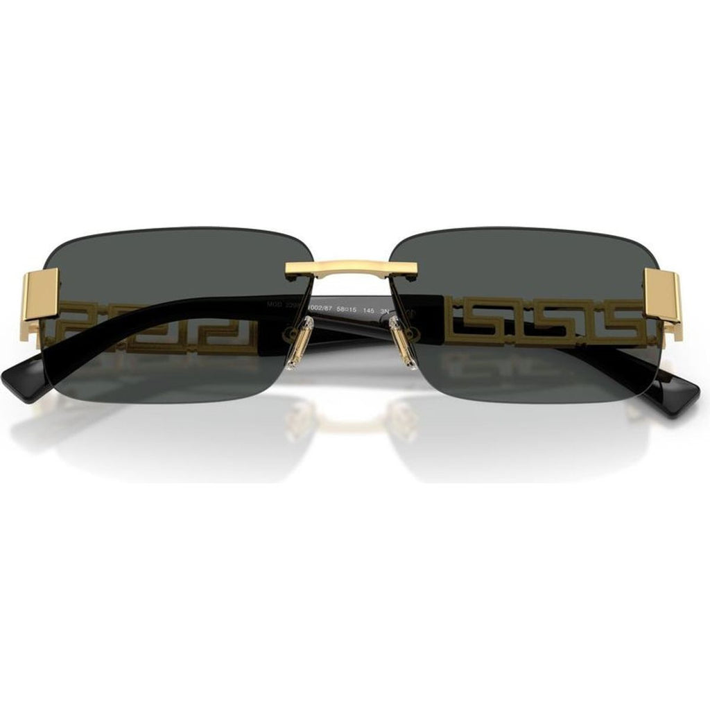 VE2298, Gold/Dark Grey Lenses