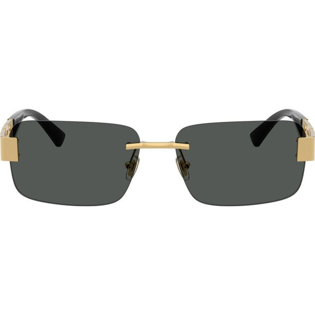 VE2298, Gold/Dark Grey Lenses