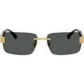 VE2298, Gold/Dark Grey Lenses