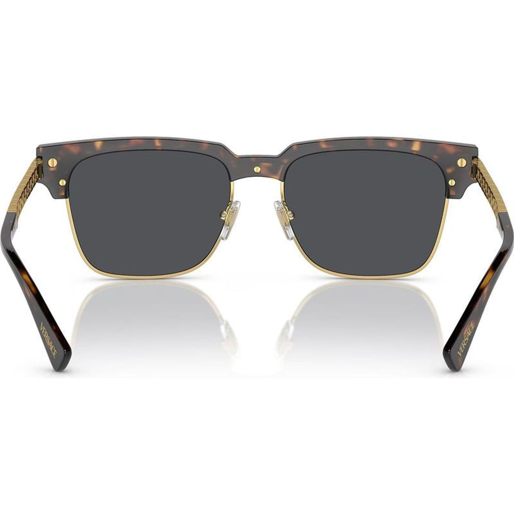VE4447, Havana/Dark Grey Lenses