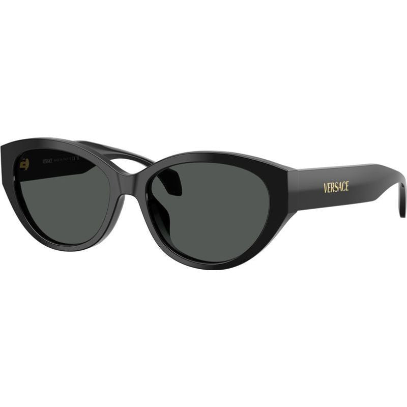 VE4495D, Black/Dark Grey Lenses