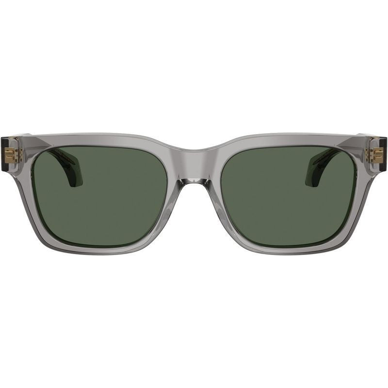 VE4486, Transparent Grey/Dark Green Lenses