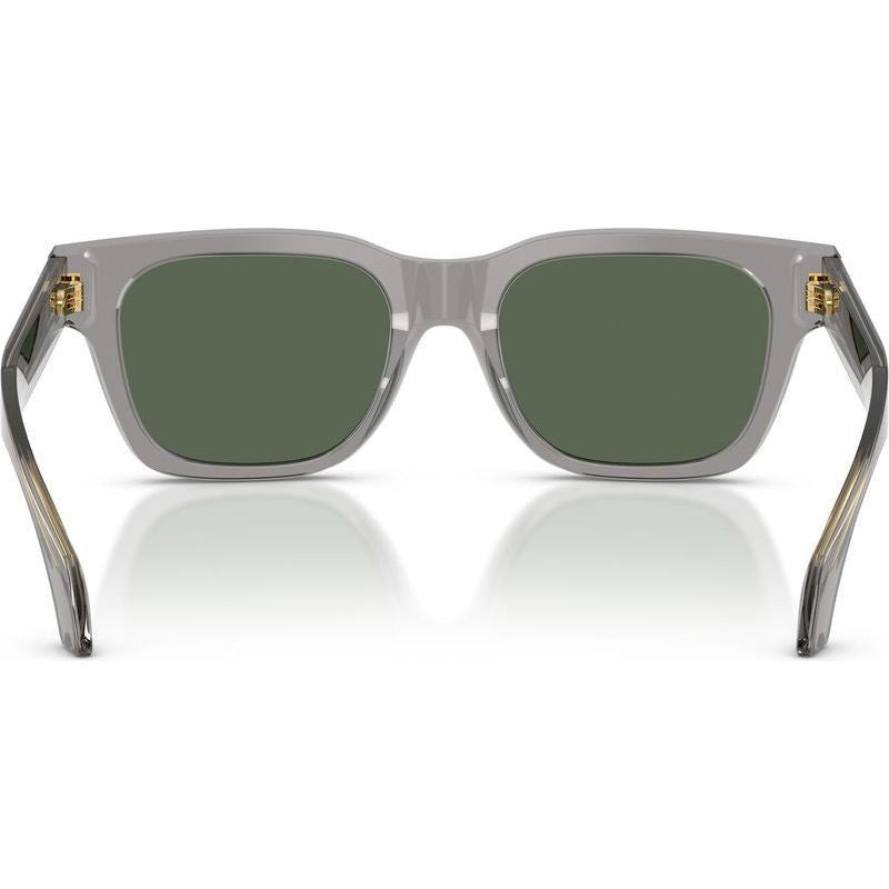 VE4486, Transparent Grey/Dark Green Lenses