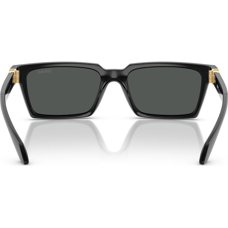 VE4490U, Black/Dark Grey Lenses