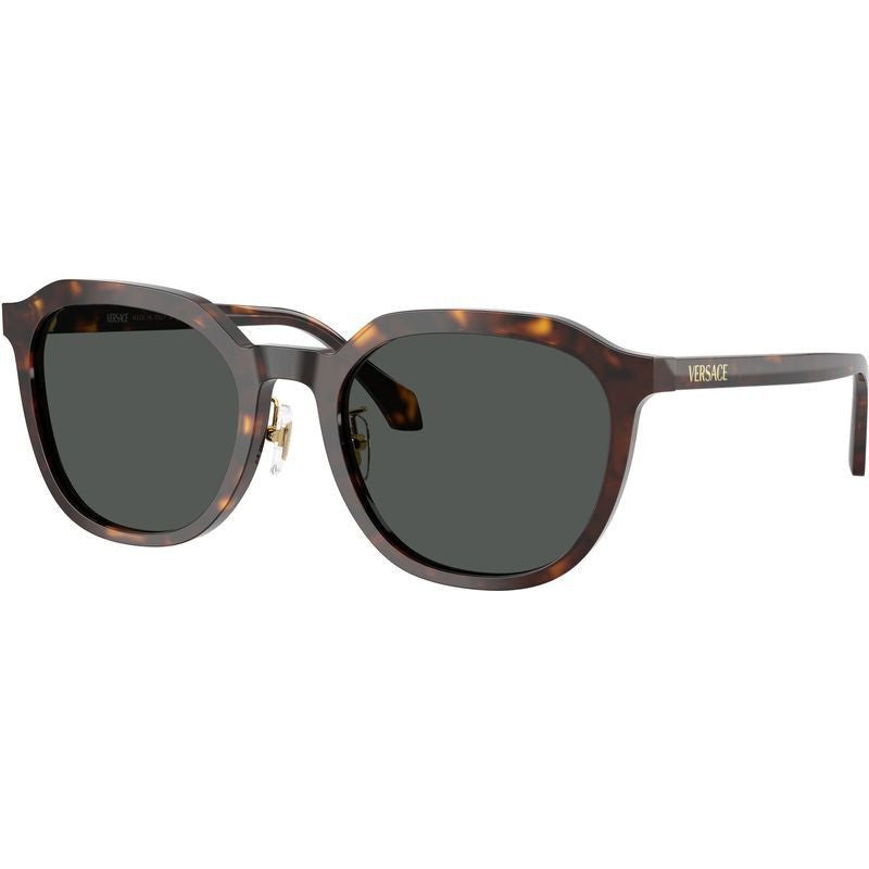 VE4493D, Dark Havana/Dark Grey Lenses