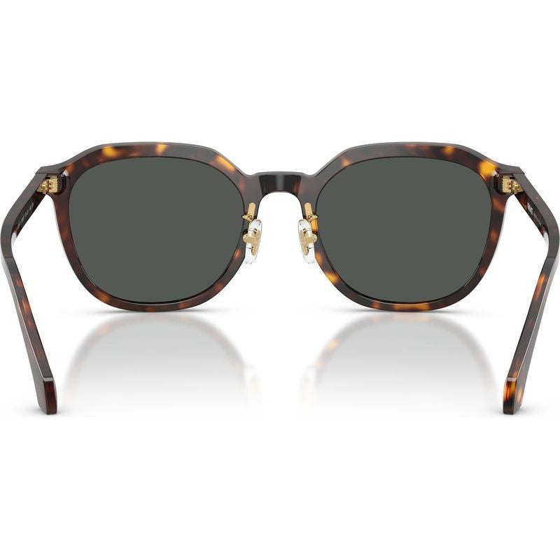 VE4493D, Dark Havana/Dark Grey Lenses