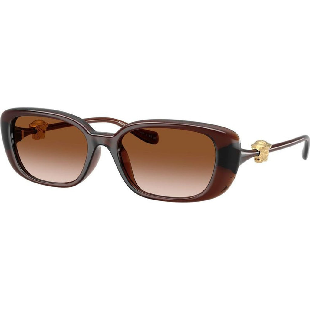 VE4504D, Transparent Brown/Brown Gradient Lenses