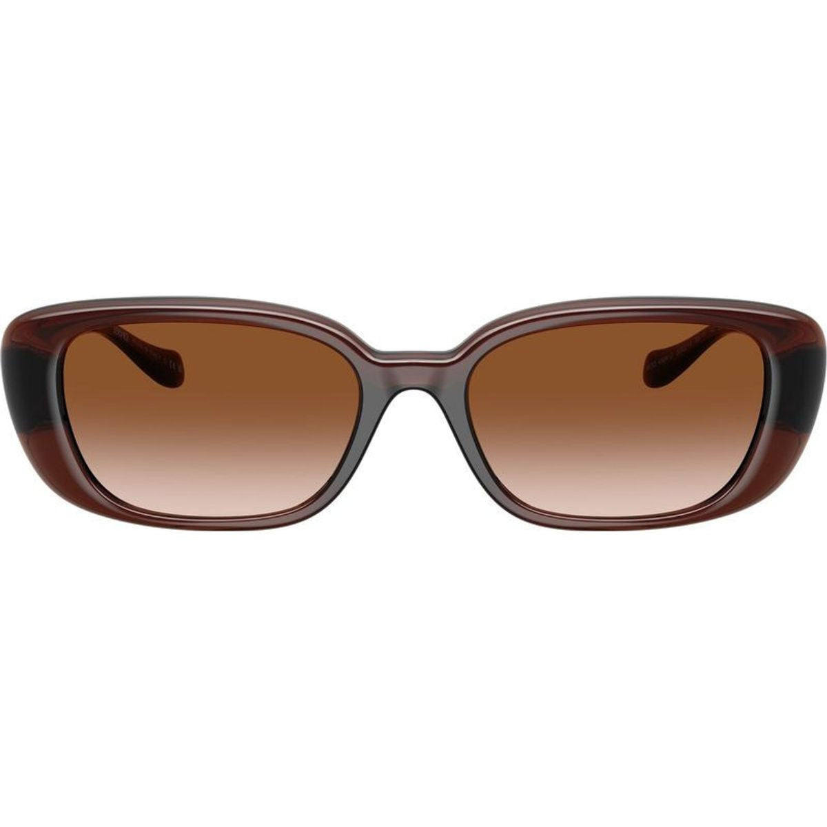 VE4504D, Transparent Brown/Brown Gradient Lenses