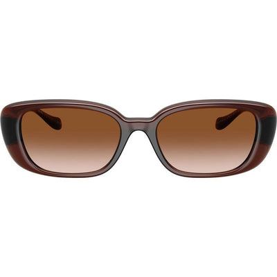 VE4504D, Transparent Brown/Brown Gradient Lenses