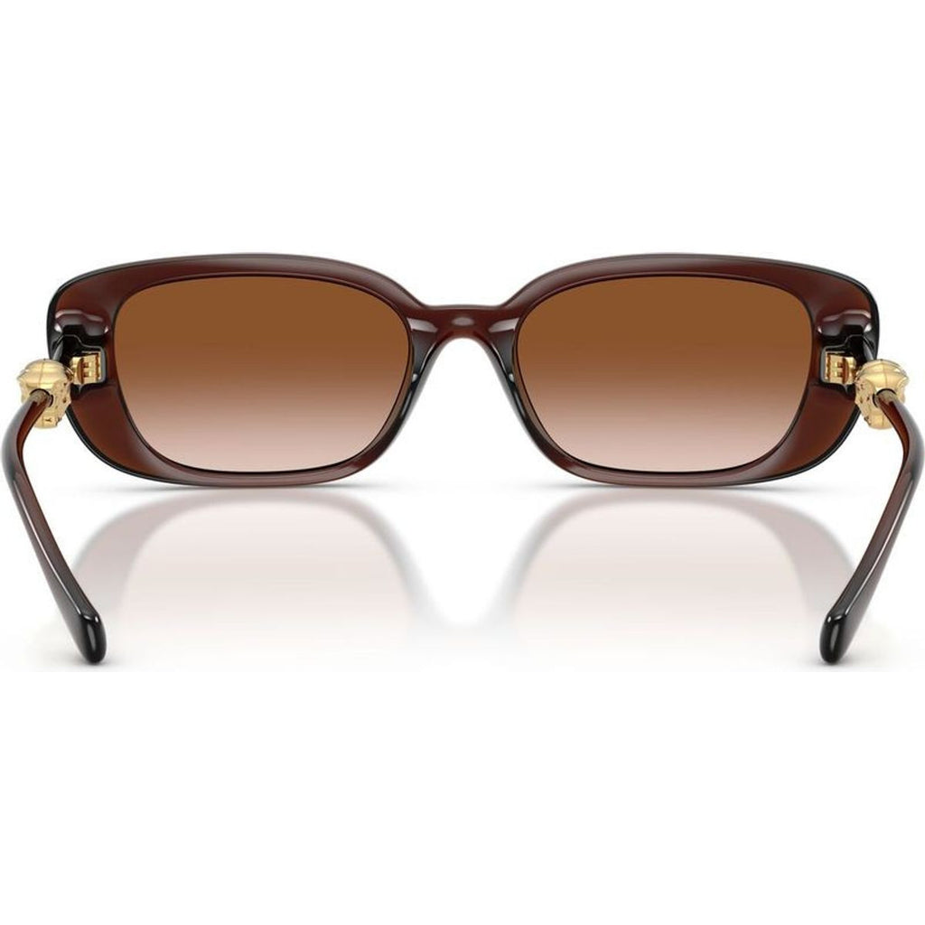 VE4504D, Transparent Brown/Brown Gradient Lenses