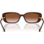 VE4504D, Transparent Brown/Brown Gradient Lenses