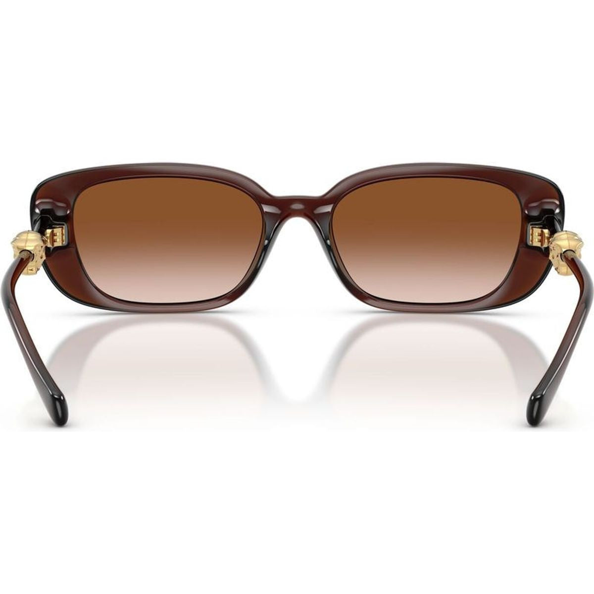 VE4504D, Transparent Brown/Brown Gradient Lenses