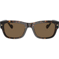 VO5530S, Dark Havana/Brown Lenses