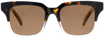 Tide, Tort and Clear/Brown Polarised Lenses
